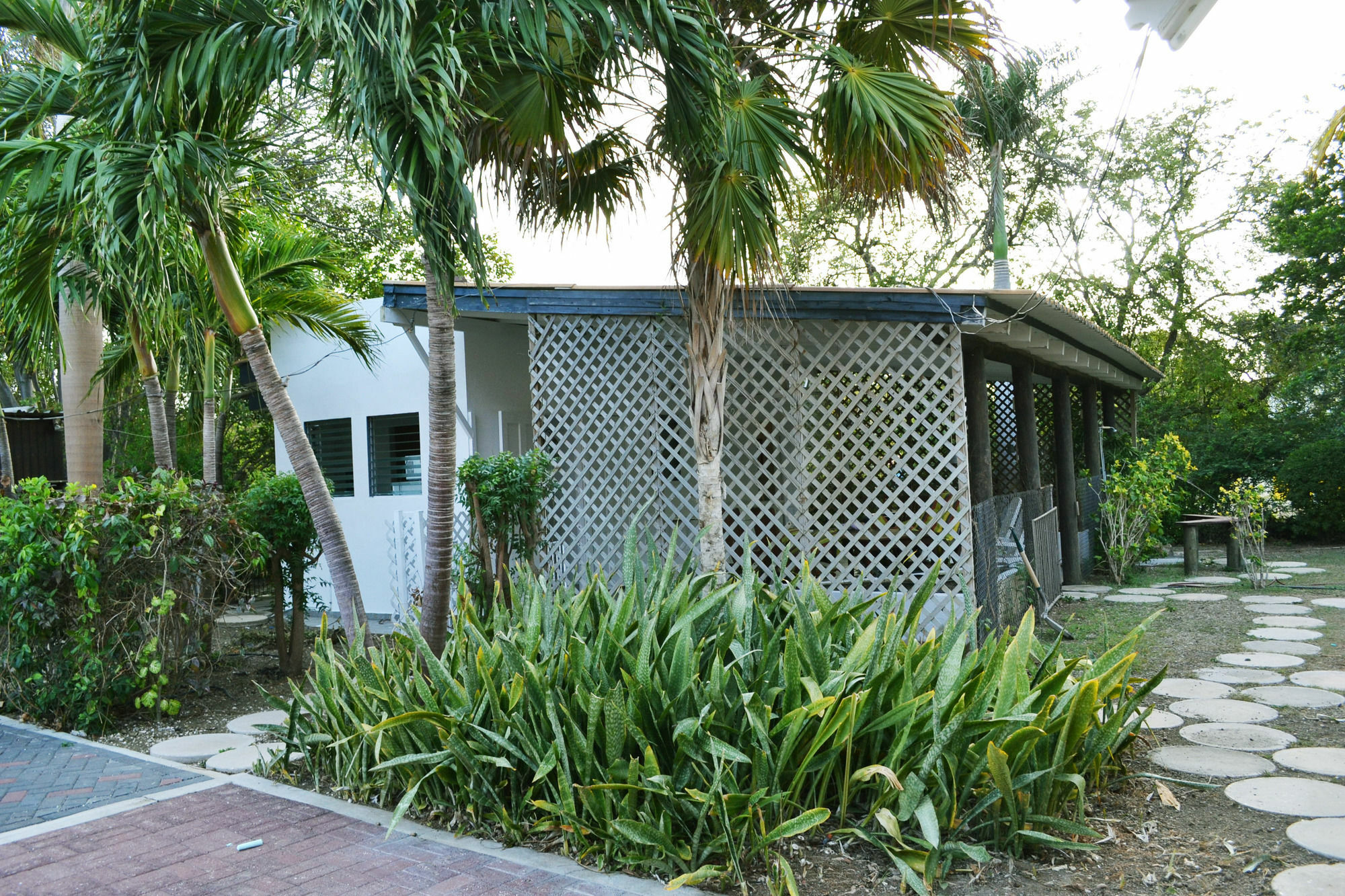 Palm Trees Apartments Willemstad Exteriör bild