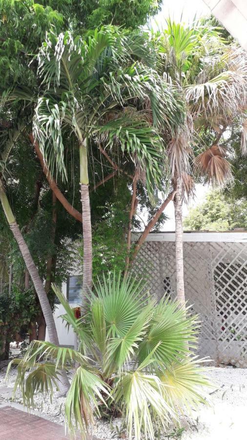 Palm Trees Apartments Willemstad Exteriör bild